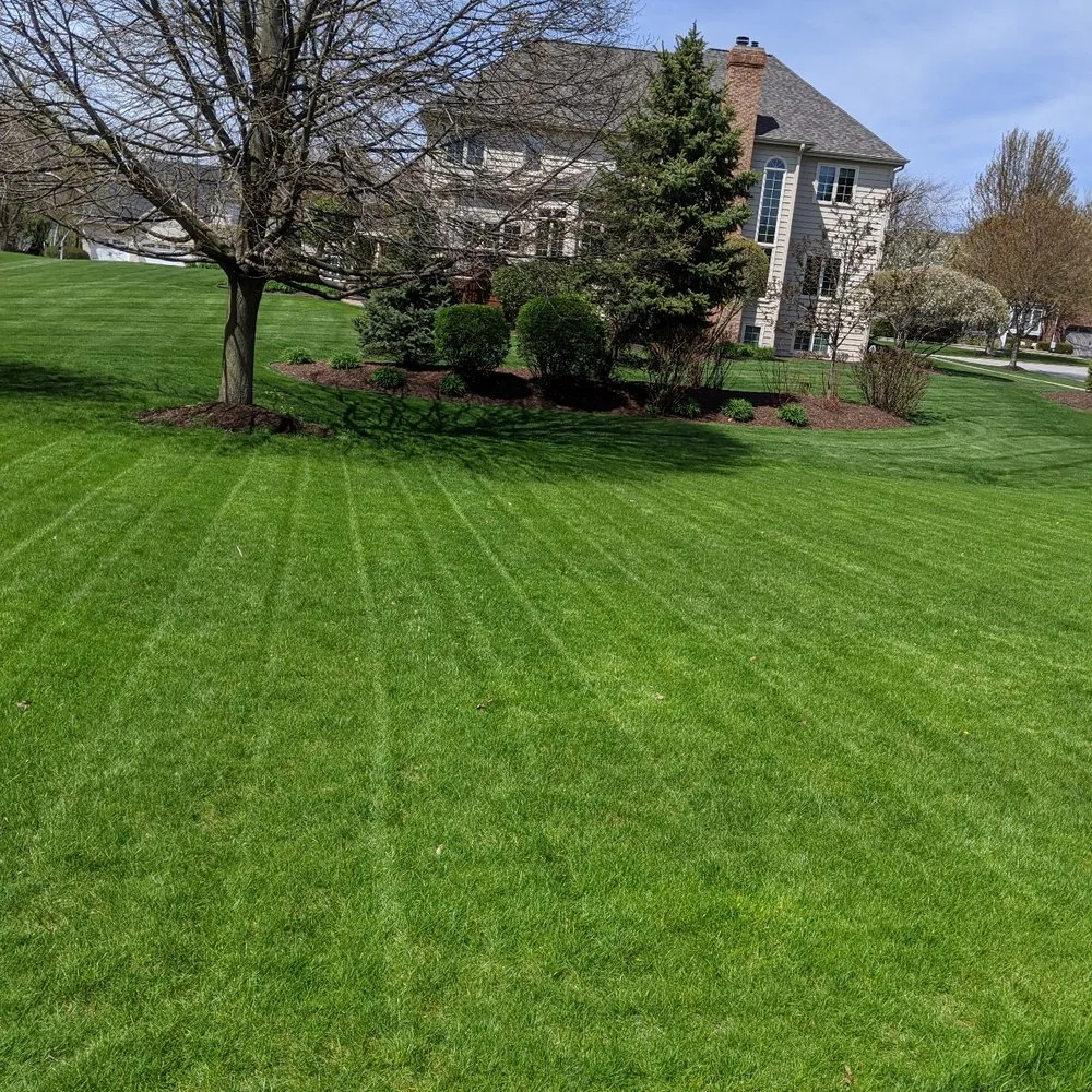 Trusted garden landscaping for year-round maintenance across Plainfield, IL - DeSanto Landscaping