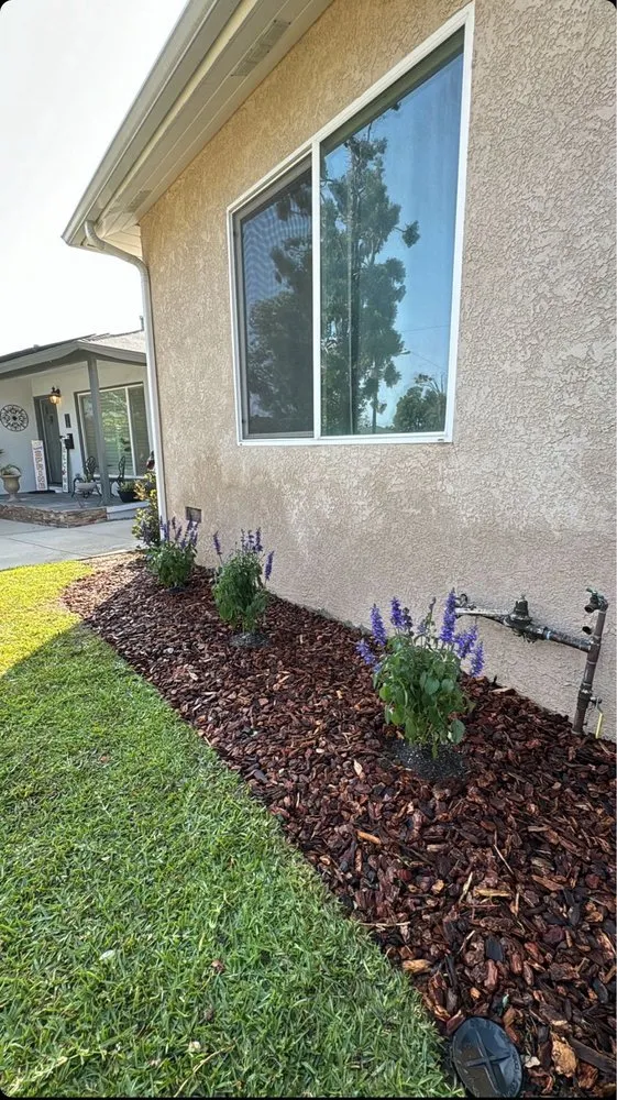 Professional yard cleanup service for year-round maintenance in Chino Hills, CA by Descanso Landscaping