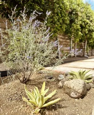 Descanso Landscaping