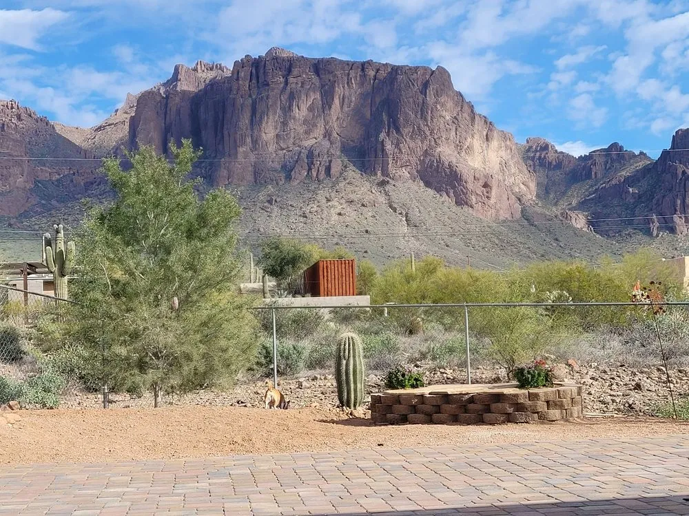 Expert lawn mowing service experts serving Phoenix, AZ - Descendants Landscaping