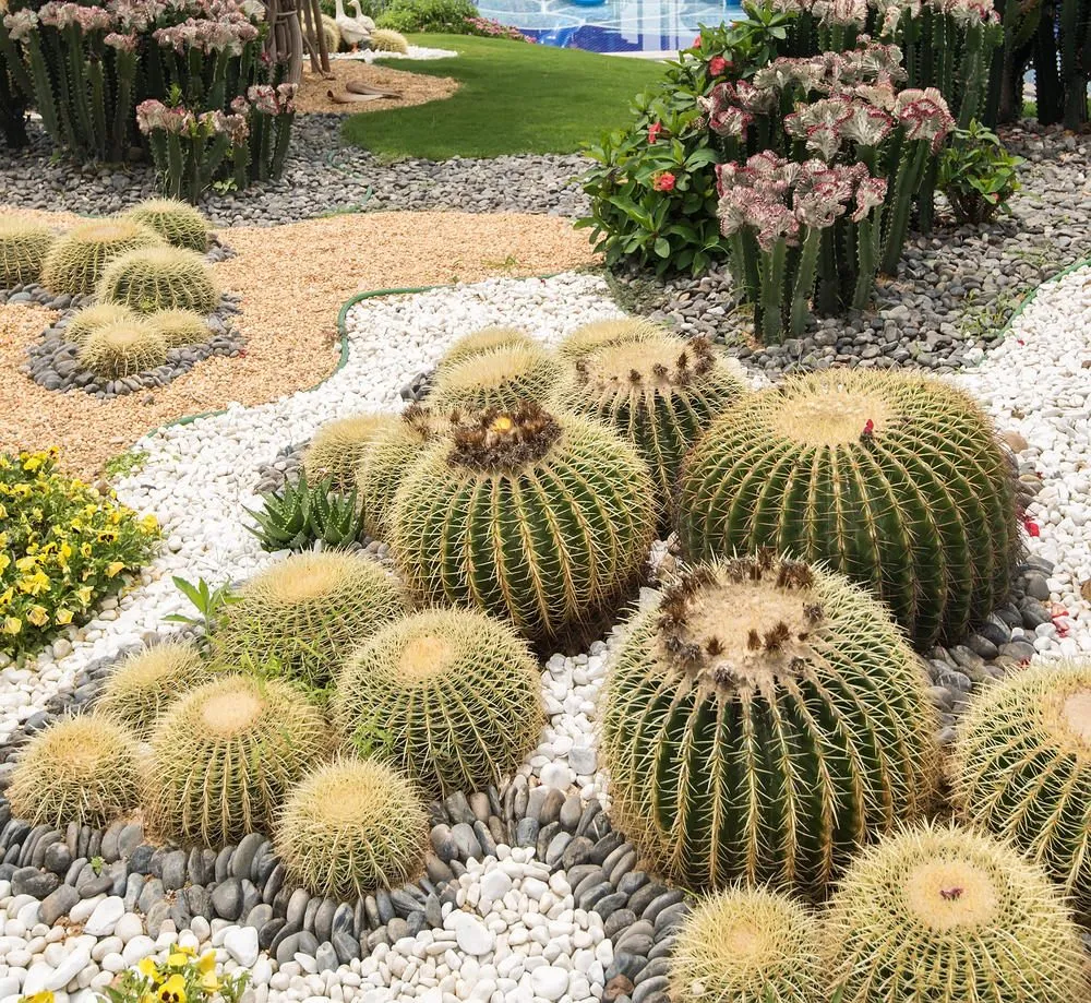 Top-rated yard cleanup service in Phoenix, AZ by Descendants Landscaping