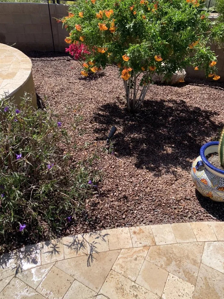 Local landscape installation near you across Phoenix, AZ - Descendants Landscaping