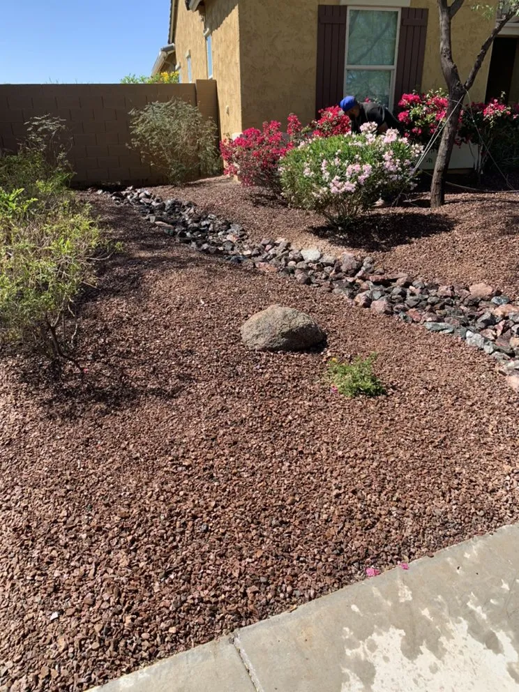 Top-rated landscape design near you across Phoenix, AZ - Descendants Landscaping