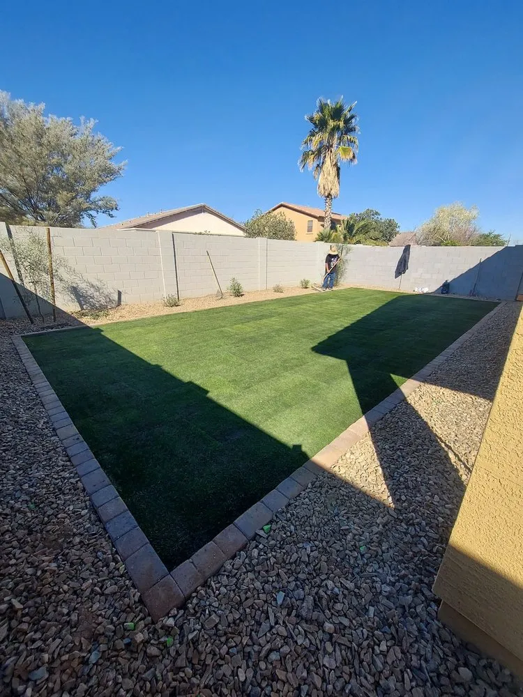 Affordable outdoor landscaping for beautiful yards across Phoenix, AZ - Descendants Landscaping