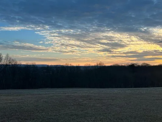 Desch Cleaning Services Logo