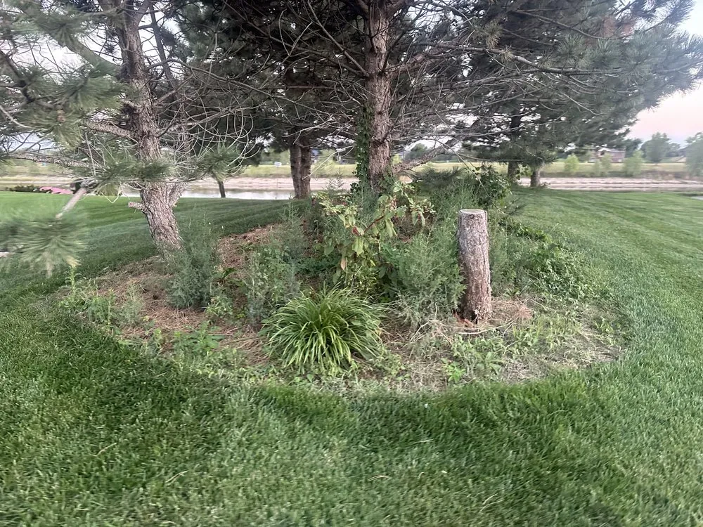 Top-rated landscape design in Maize, KS by Desco Lawn Care