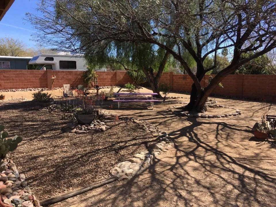 Local landscape design experts serving Tucson, AZ - Desert Aesthetics Landscape