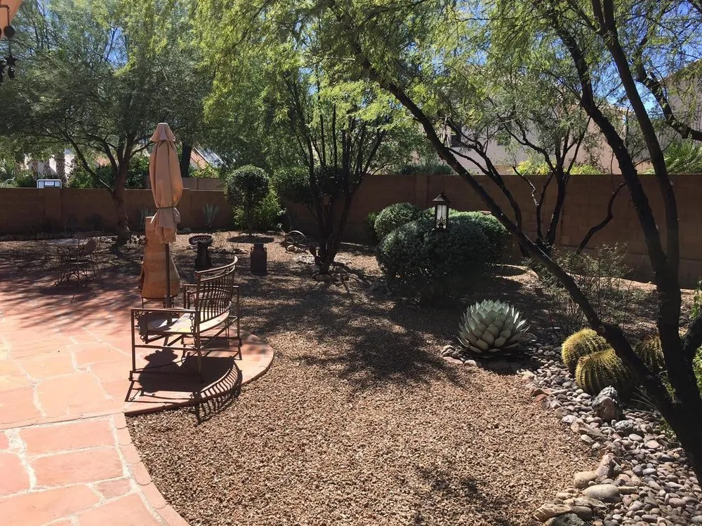 Reliable yard cleanup service in Tucson, AZ by Desert Aesthetics Landscape