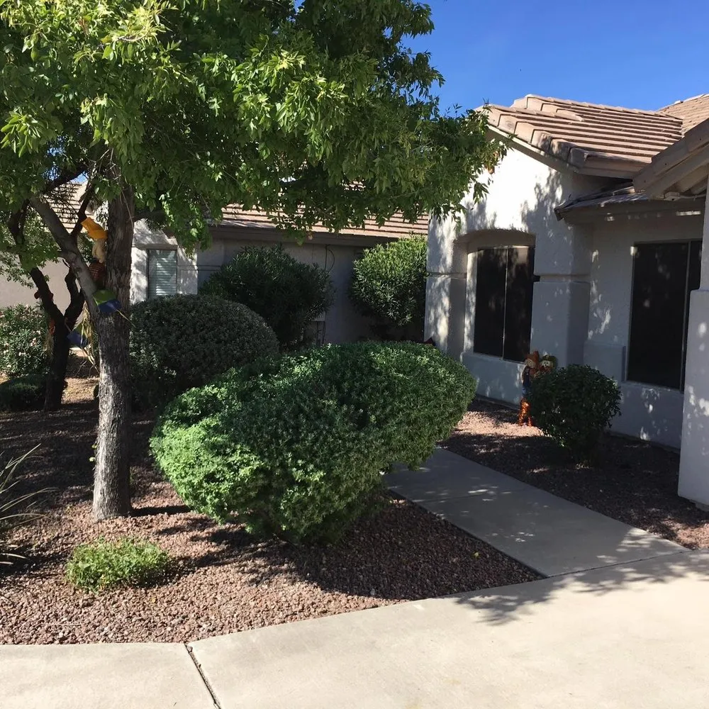 Top-rated residential landscaping for beautiful yards across Tucson, AZ - Desert Aesthetics Landscape