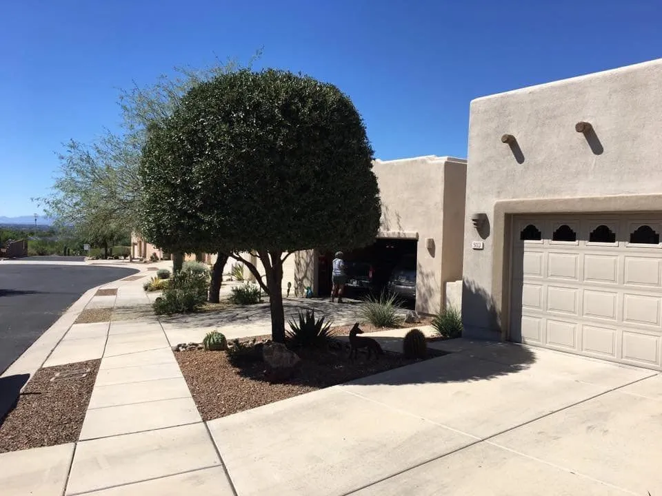 Local residential landscaping for beautiful yards across Tucson, AZ - Desert Aesthetics Landscape