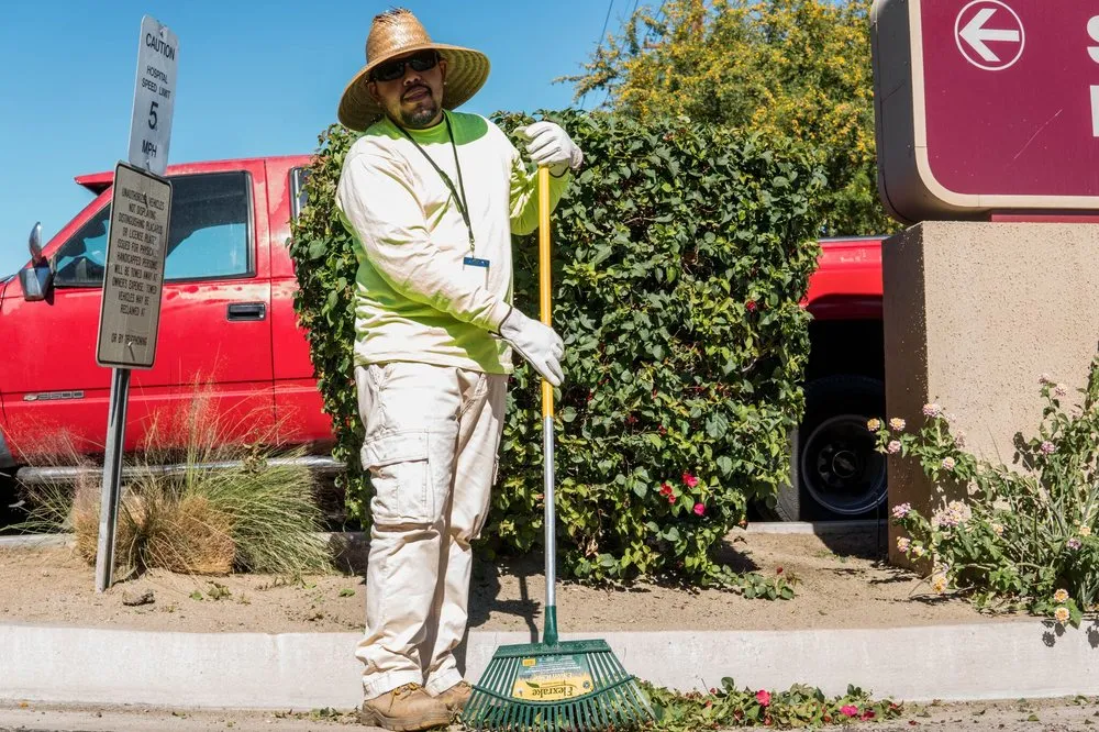Trusted garden landscaping in Palm Desert, CA by Desert Arc Landscape Maintenance
