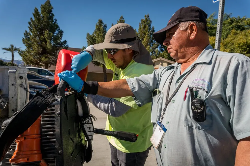 Professional landscape design experts serving Palm Desert, CA - Desert Arc Landscape Maintenance