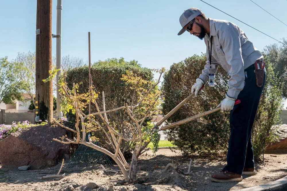 Custom outdoor landscaping in Palm Desert, CA by Desert Arc Landscape Maintenance