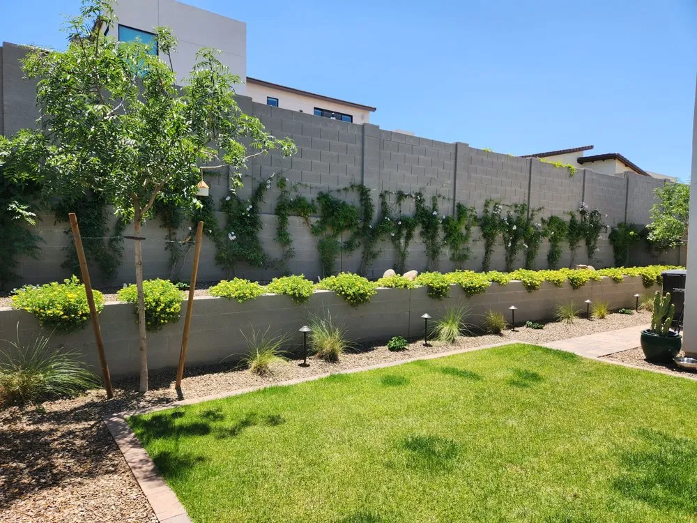 Trusted yard cleanup service experts serving Phoenix, AZ - Desert Bloom Hardscaping