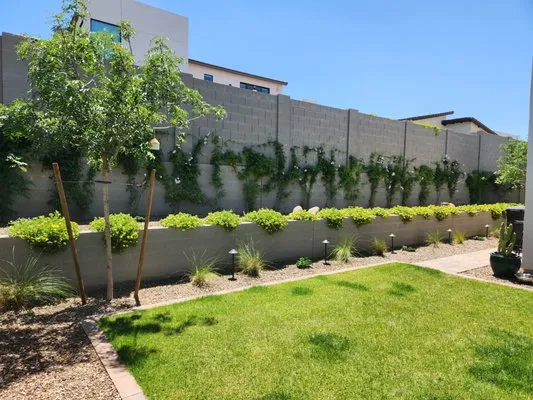 Desert Bloom Hardscaping Logo