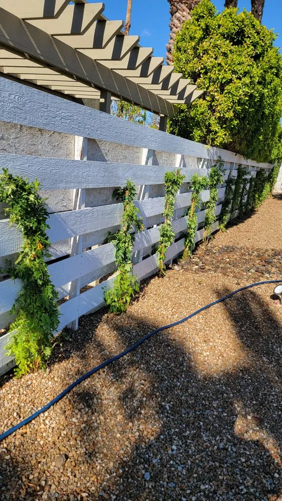 Top-rated outdoor landscaping with custom design across Cathedral City, CA - Desert Bloom Landscape