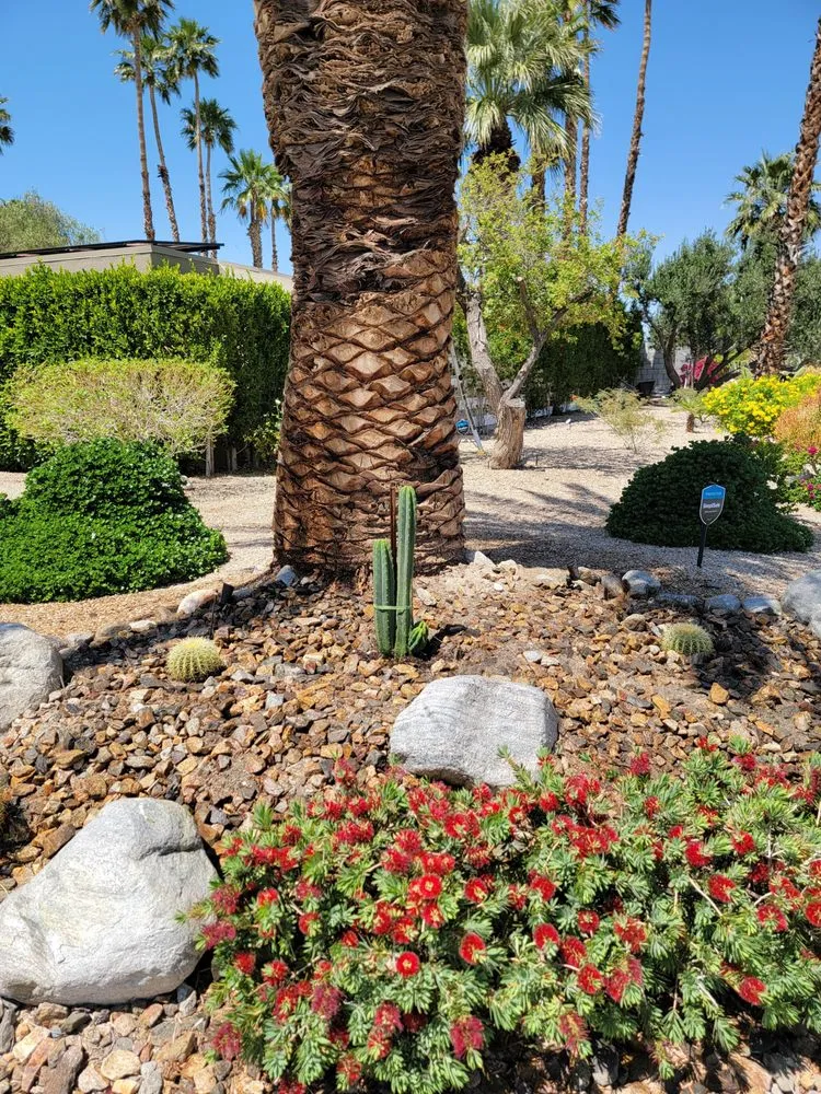 Local lawn mowing service near you across Cathedral City, CA - Desert Bloom Landscape