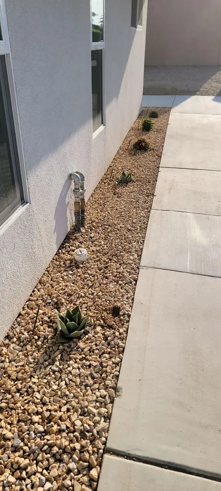 Trusted landscaping services for beautiful yards across Cathedral City, CA - Desert Bloom Landscape