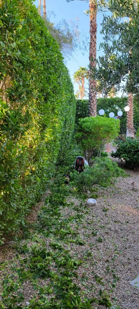 Expert landscape installation for homes across Cathedral City, CA - Desert Bloom Landscape