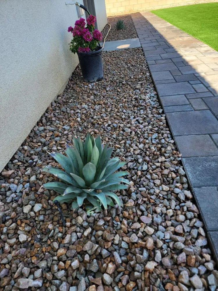 Professional landscape design near you in Cathedral City, CA by Desert Bloom Landscape