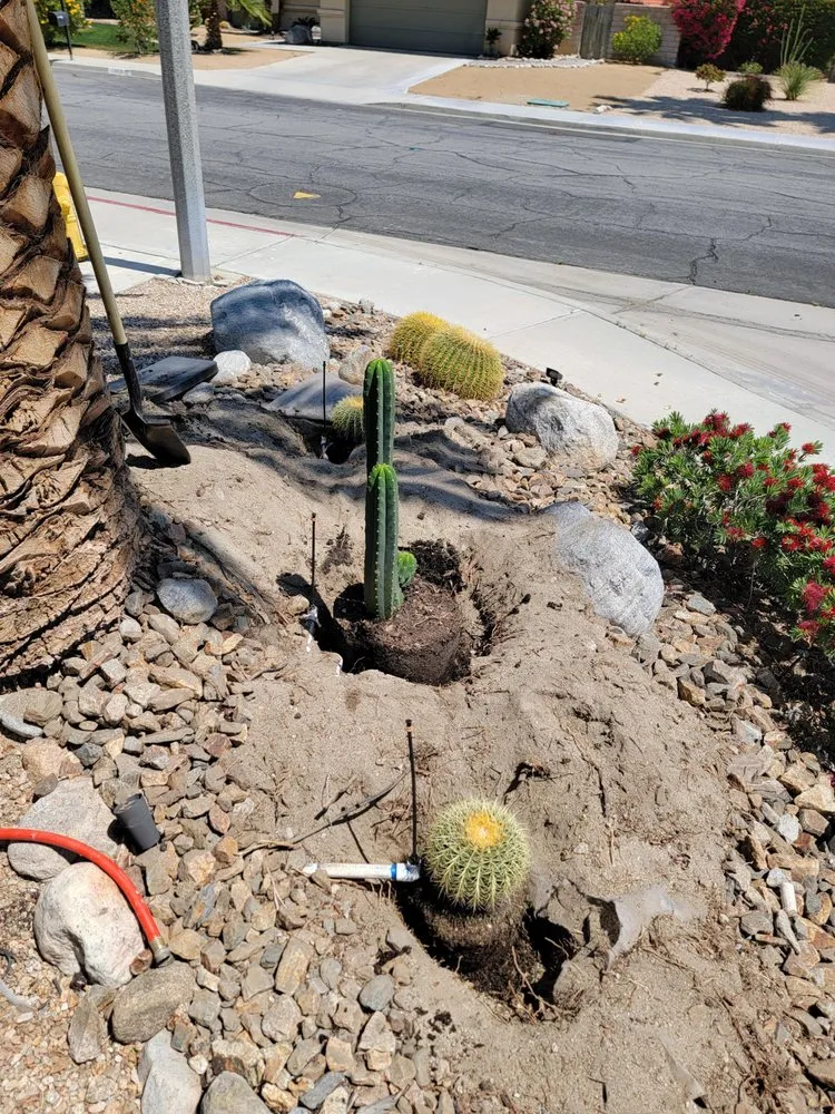 Professional landscape design in Cathedral City, CA by Desert Bloom Landscape