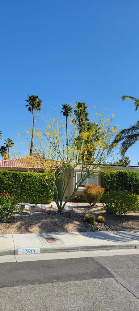 Professional yard cleanup service in Cathedral City, CA by Desert Bloom Landscape