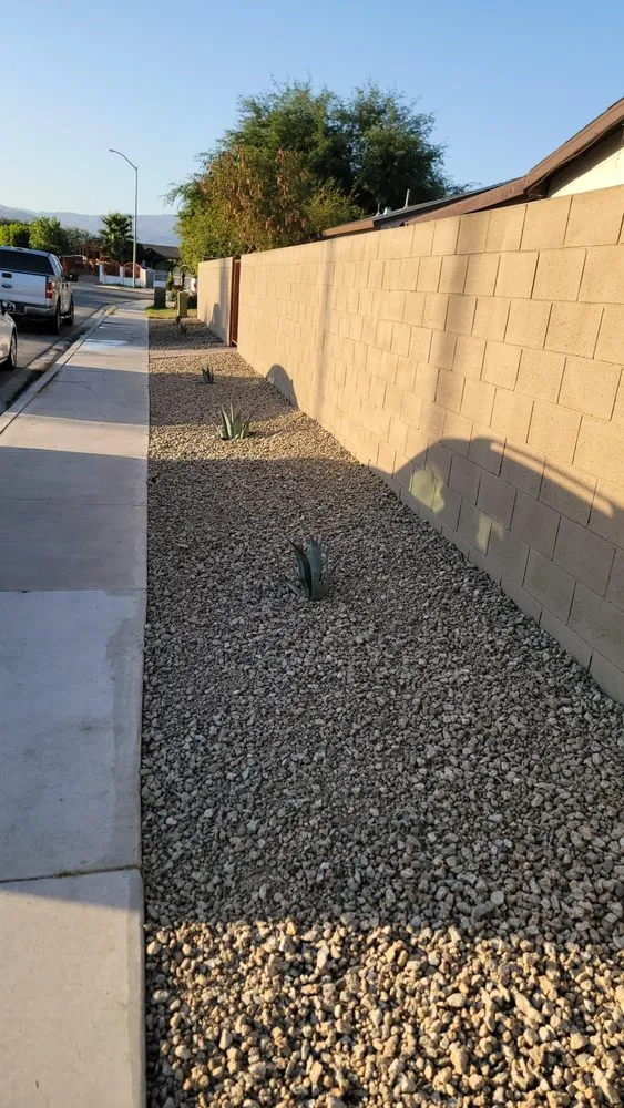 Expert lawn care service for residential properties in Cathedral City, CA by Desert Bloom Landscape