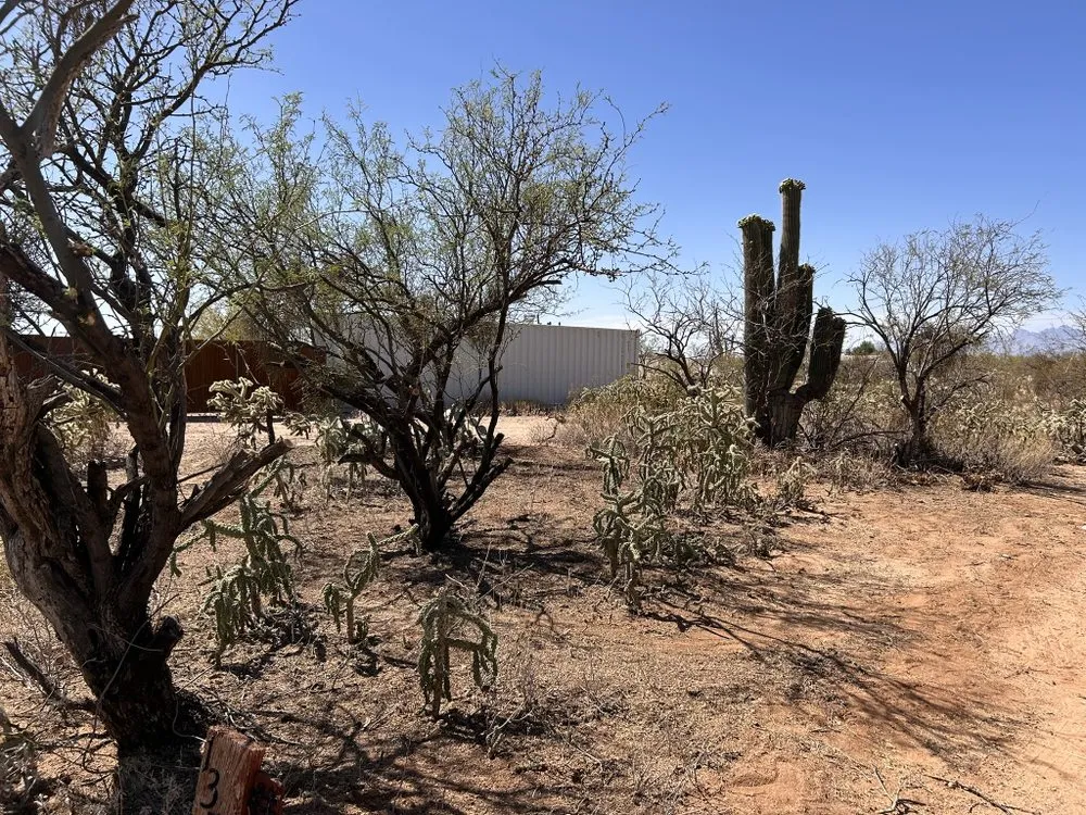 Professional landscaping services in Saint David, AZ by Desert Bloom Oasis Landscaping