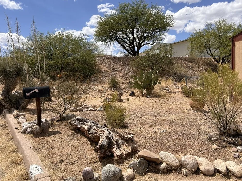 Custom landscape installation in Saint David, AZ - Desert Bloom Oasis Landscaping