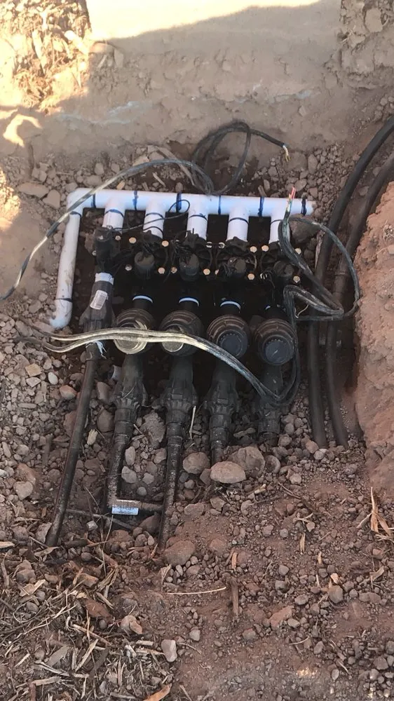 Professional yard cleanup service experts serving Guadalupe, AZ - Desert Breeze Landscaping & Maintenance