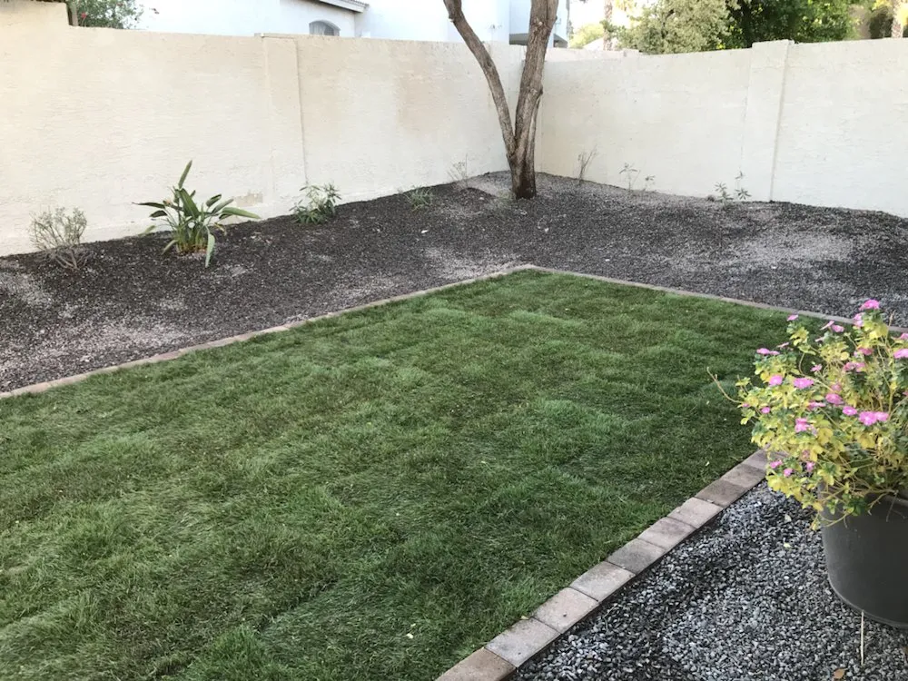 Custom residential landscaping in Guadalupe, AZ - Desert Breeze Landscaping & Maintenance