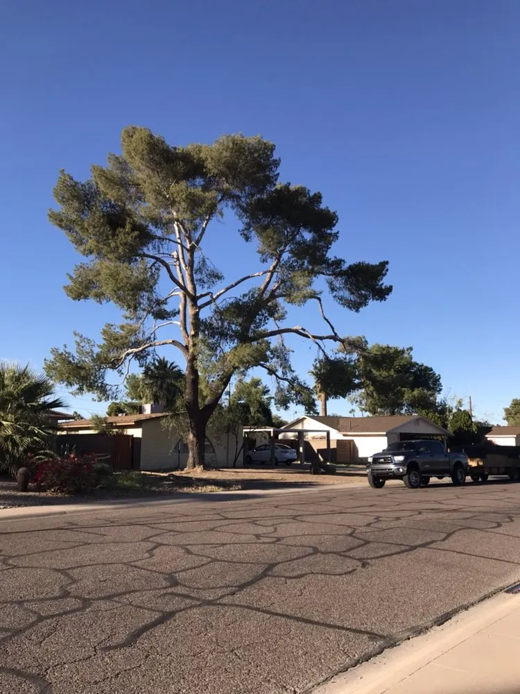 Trusted residential landscaping near you in Guadalupe, AZ by Desert Breeze Landscaping & Maintenance