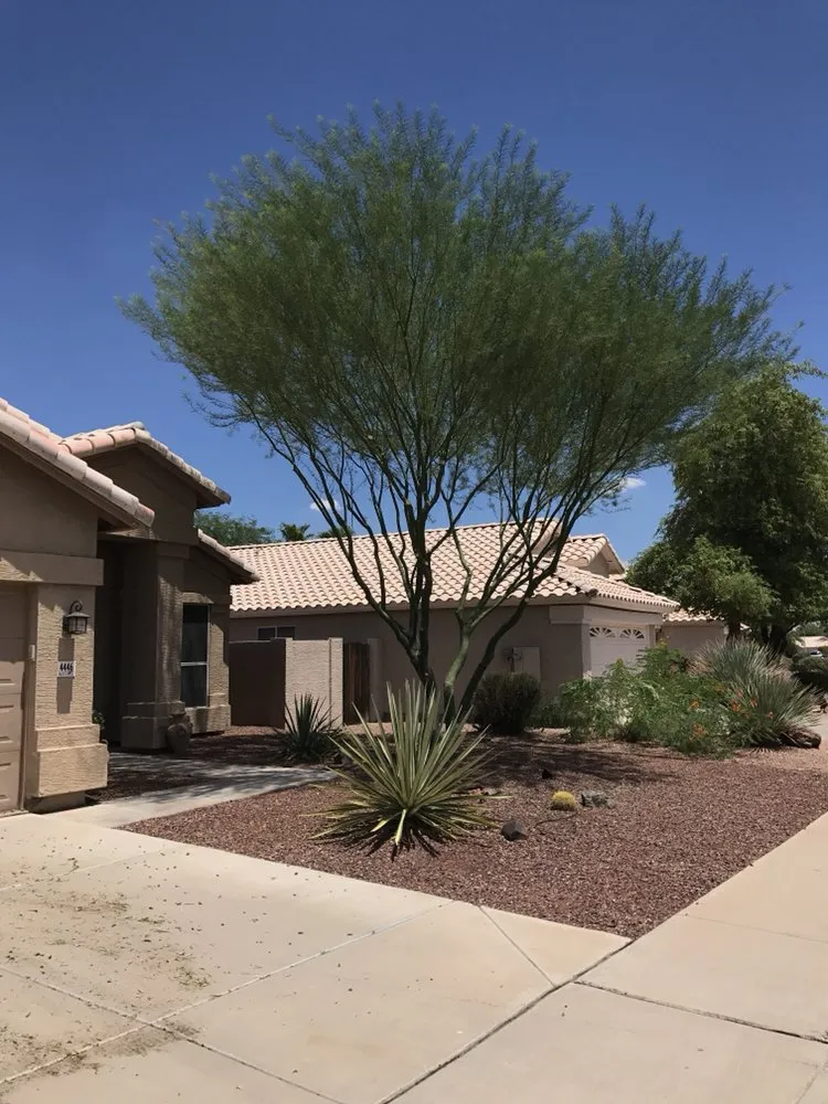 Local outdoor landscaping for homes across Guadalupe, AZ - Desert Breeze Landscaping & Maintenance