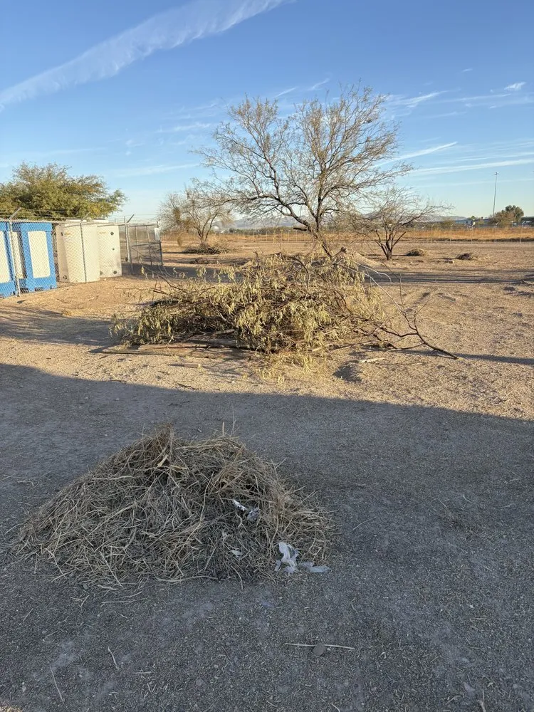 Expert landscape design experts serving Tucson, AZ - Desert Broom Landscape