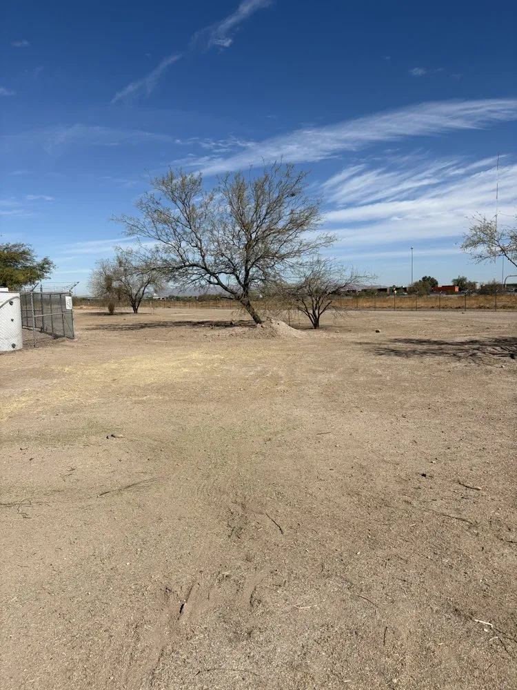 Local landscape design for year-round maintenance in Tucson, AZ by Desert Broom Landscape
