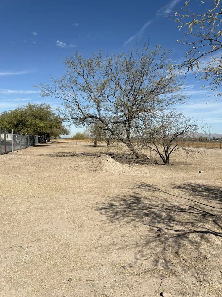 Custom landscaping services in Tucson, AZ by Desert Broom Landscape