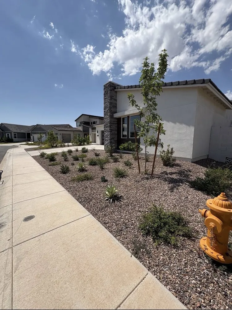 Local yard cleanup service for homes across Florence, AZ - Desert Brothers Landscaping