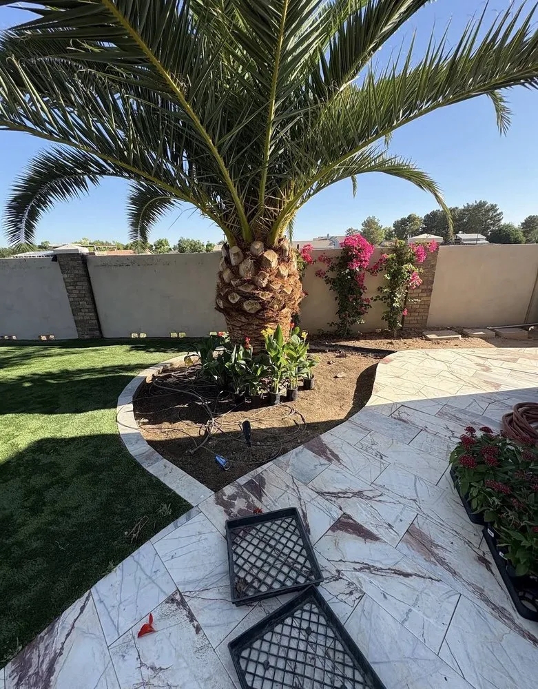 Professional residential landscaping in Florence, AZ by Desert Brothers Landscaping