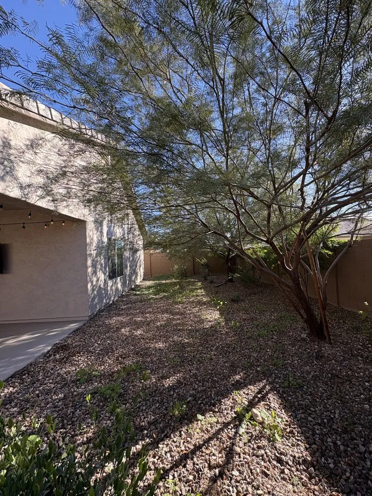 Local residential landscaping experts serving Florence, AZ - Desert Brothers Landscaping