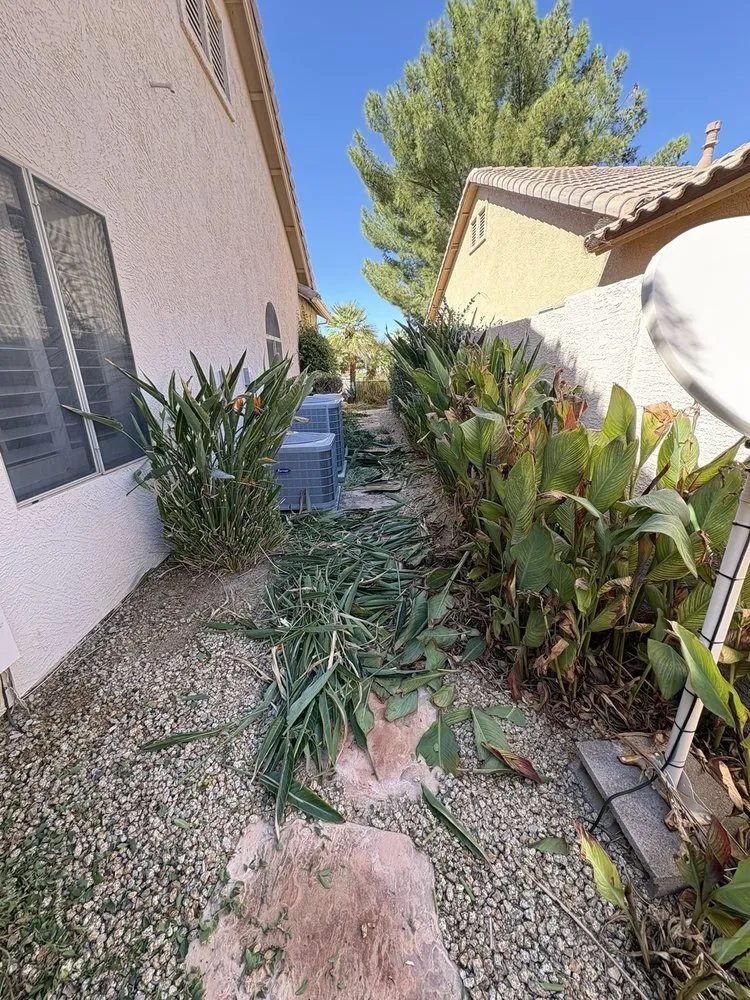 Local lawn care service in Florence, AZ by Desert Brothers Landscaping