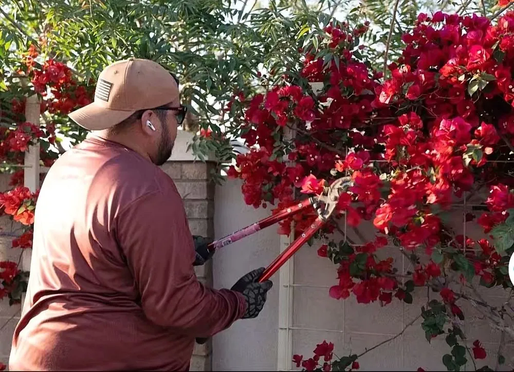 Trusted yard cleanup service in Florence, AZ - Desert Brothers Landscaping