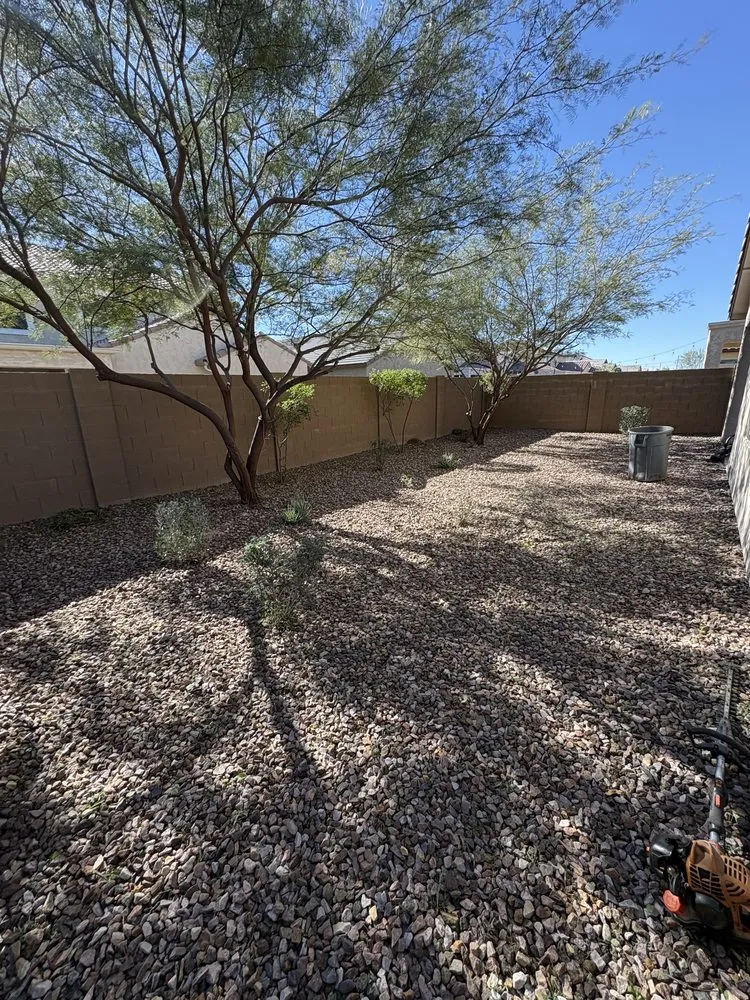 Expert landscape design in Florence, AZ by Desert Brothers Landscaping