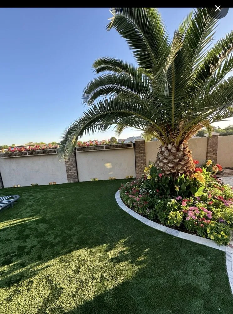 Affordable landscape installation for residential properties in Florence, AZ by Desert Brothers Landscaping