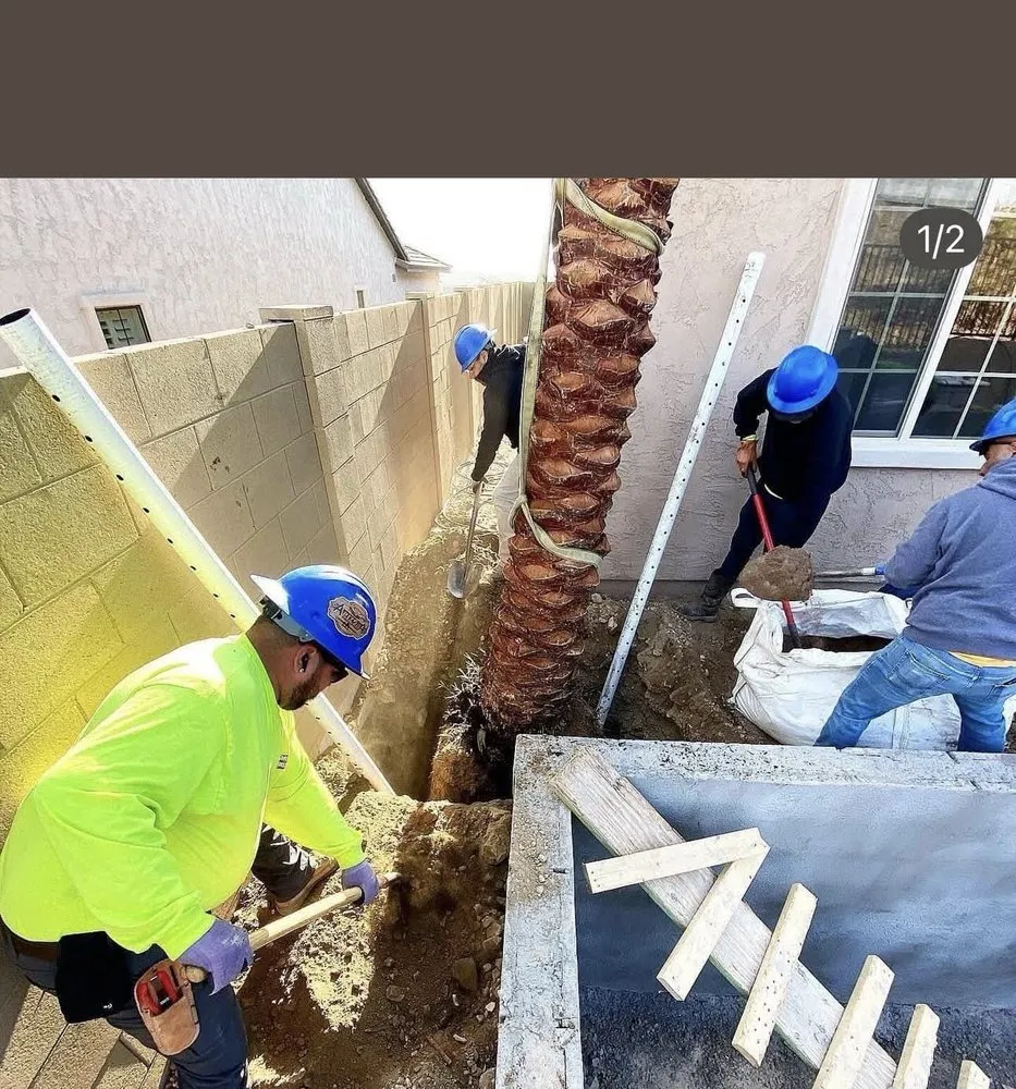 Trusted landscape design for homes in Florence, AZ by Desert Brothers Landscaping