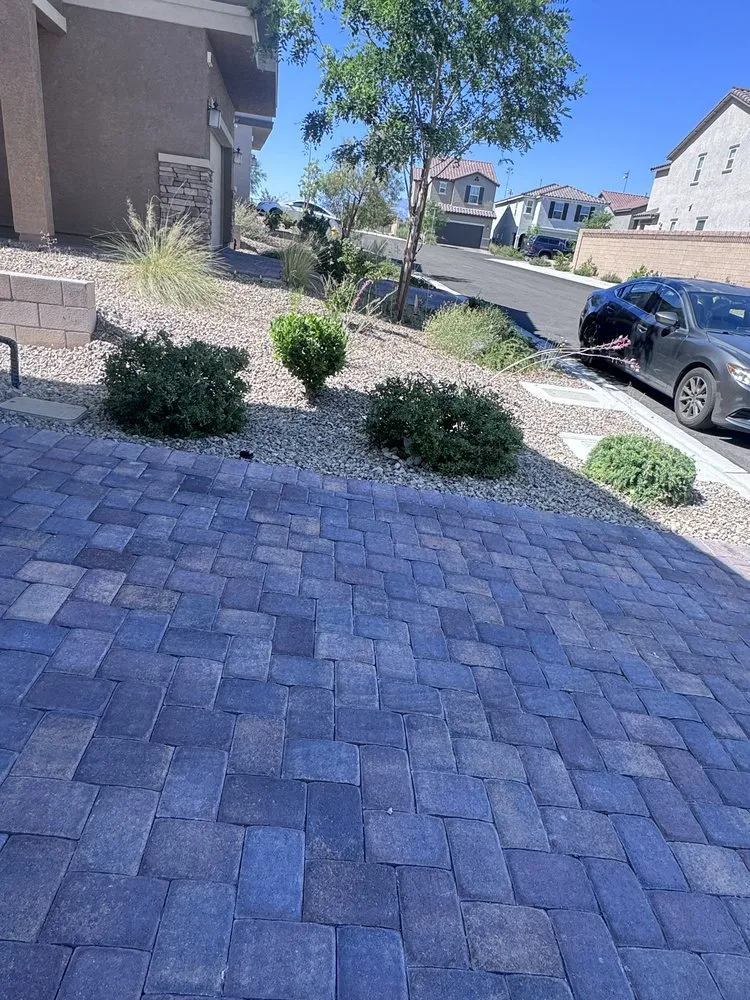 Trusted yard cleanup service in Las Vegas, NV - Desert Cacti Landscaping