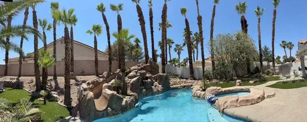 Desert Cacti Landscaping Logo