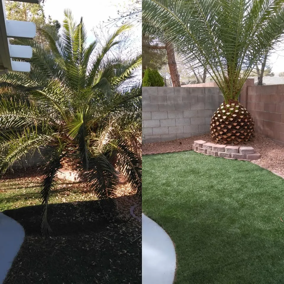 Professional garden landscaping in Las Vegas, NV by Desert Canyon Landscaping
