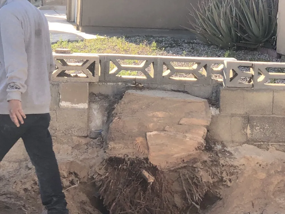 Affordable yard cleanup service experts serving Las Vegas, NV - Desert Canyon Landscaping