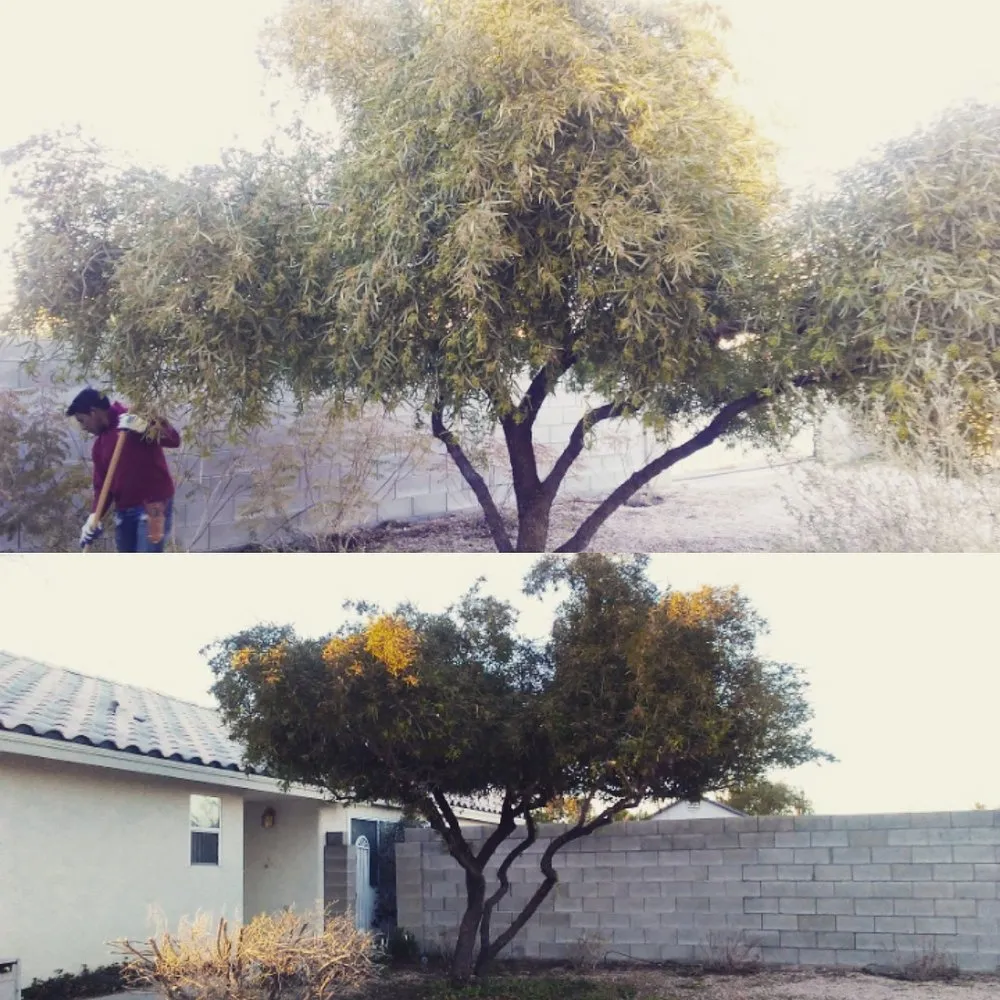 Professional lawn mowing service in Las Vegas, NV by Desert Canyon Landscaping