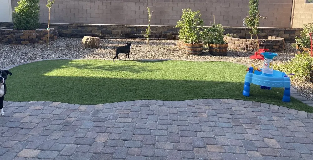 Trusted lawn mowing service in Las Vegas, NV - Desert Canyon Landscaping